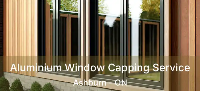 Aluminium Window Capping Service Ashburn - ON