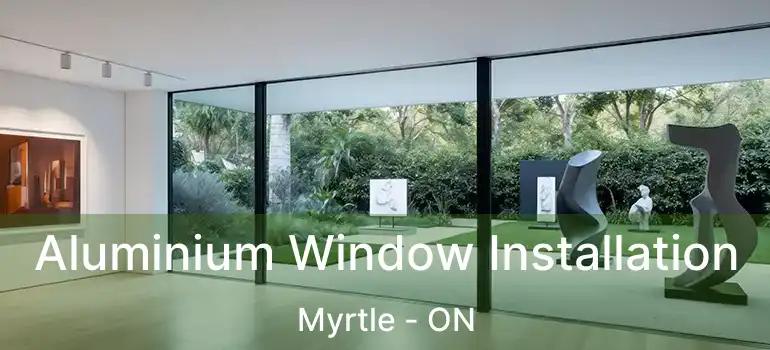  Aluminium Window Installation Myrtle - ON