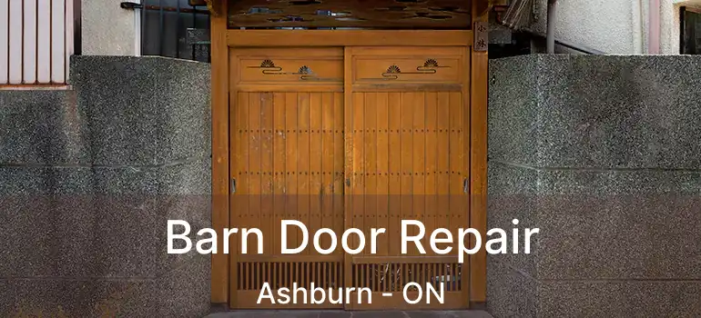  Barn Door Repair Ashburn - ON