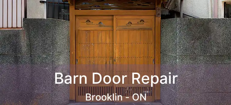  Barn Door Repair Brooklin - ON