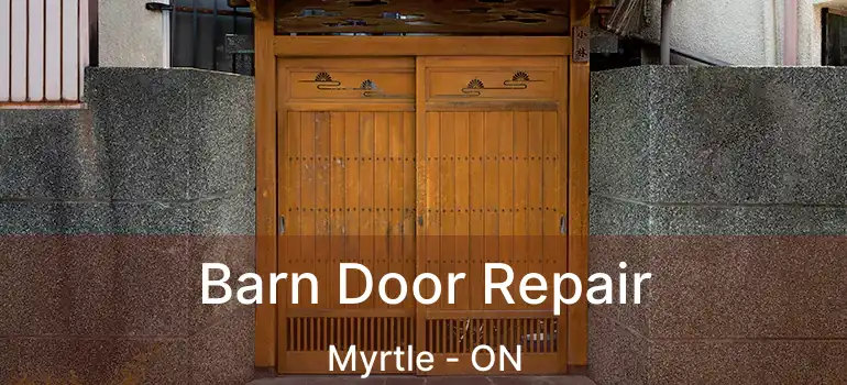  Barn Door Repair Myrtle - ON