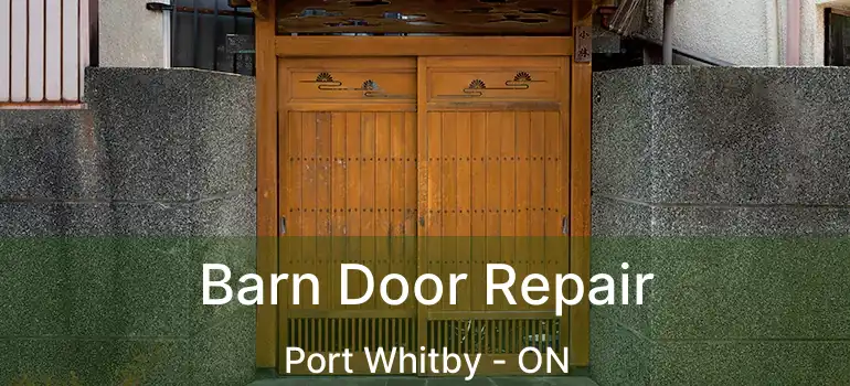  Barn Door Repair Port Whitby - ON