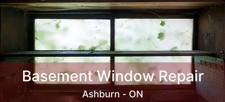  Basement Window Repair Ashburn - ON