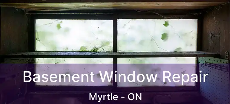  Basement Window Repair Myrtle - ON
