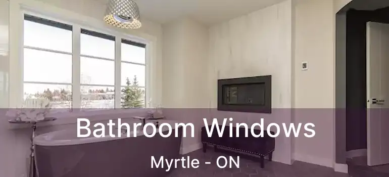  Bathroom Windows Myrtle - ON
