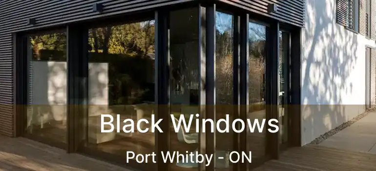  Black Windows Port Whitby - ON