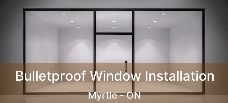  Bulletproof Window Installation Myrtle - ON