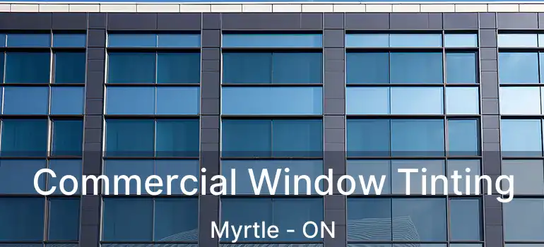  Commercial Window Tinting Myrtle - ON