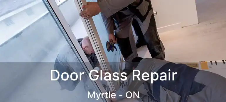  Door Glass Repair Myrtle - ON
