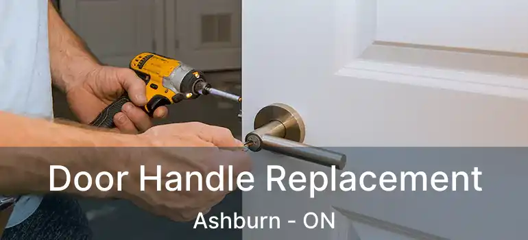  Door Handle Replacement Ashburn - ON