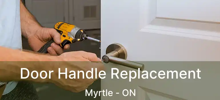  Door Handle Replacement Myrtle - ON