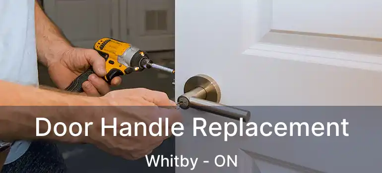  Door Handle Replacement Whitby - ON