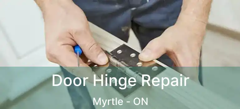  Door Hinge Repair Myrtle - ON