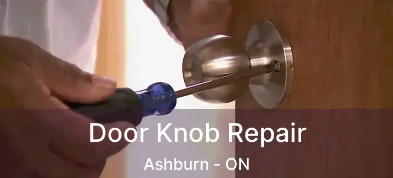  Door Knob Repair Ashburn - ON