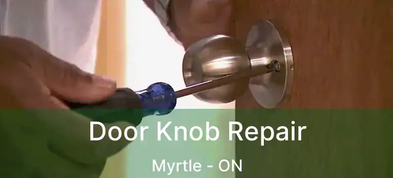  Door Knob Repair Myrtle - ON