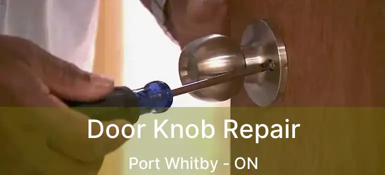  Door Knob Repair Port Whitby - ON