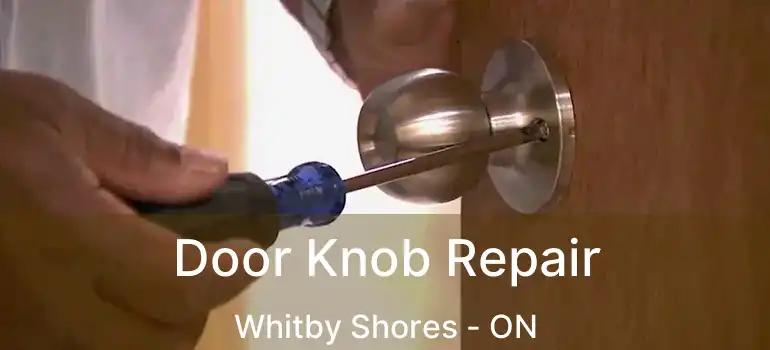  Door Knob Repair Whitby Shores - ON