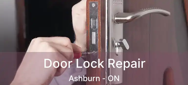  Door Lock Repair Ashburn - ON