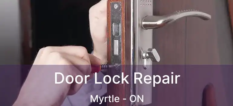 Door Lock Repair Myrtle - ON