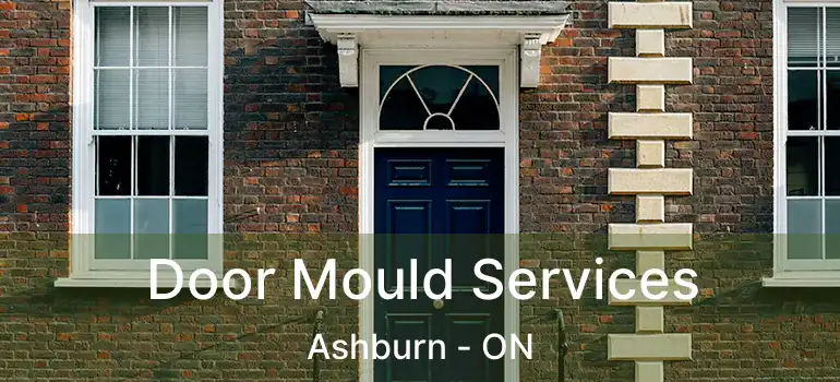  Door Mould Services Ashburn - ON