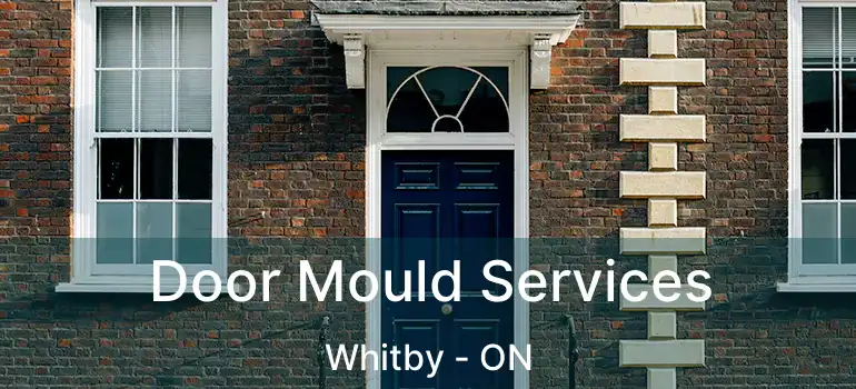  Door Mould Services Whitby - ON