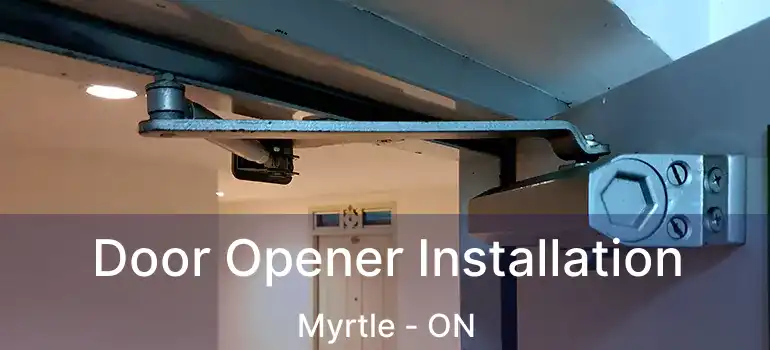  Door Opener Installation Myrtle - ON