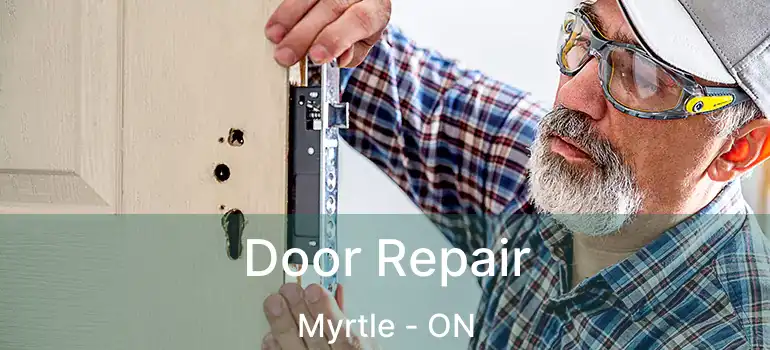  Door Repair Myrtle - ON