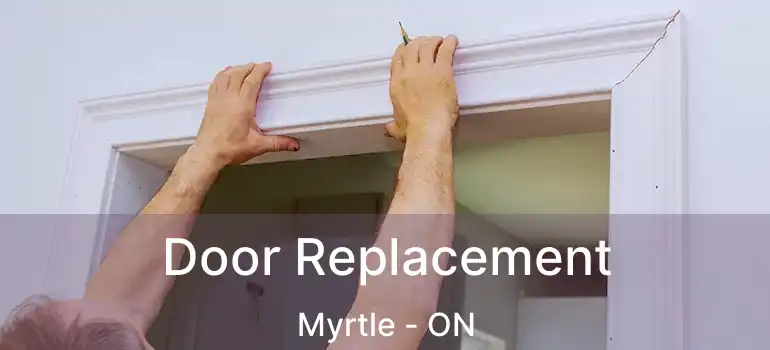  Door Replacement Myrtle - ON