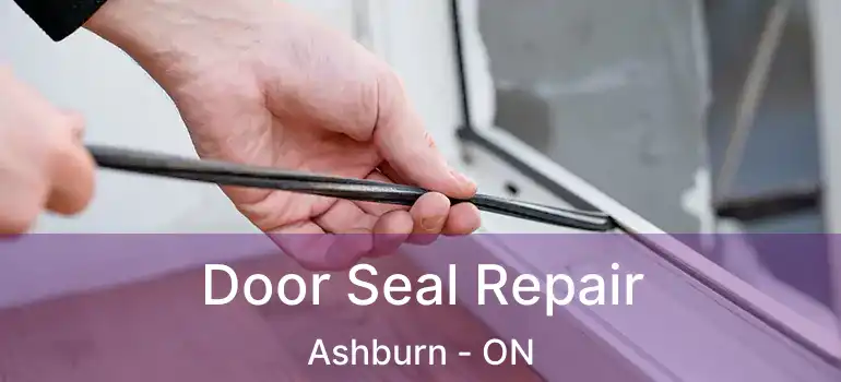  Door Seal Repair Ashburn - ON