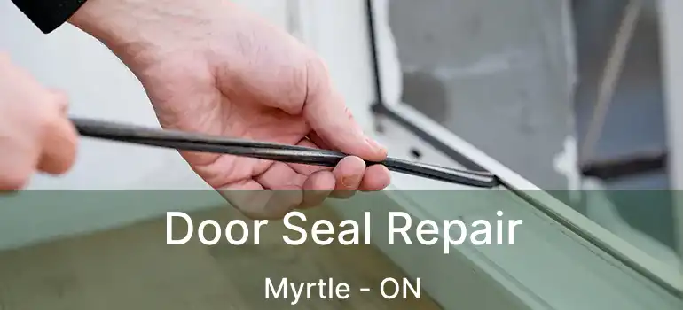  Door Seal Repair Myrtle - ON