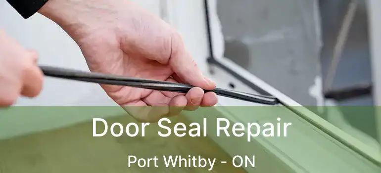  Door Seal Repair Port Whitby - ON