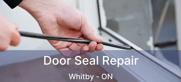  Door Seal Repair Whitby - ON