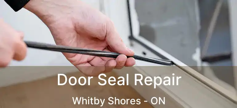  Door Seal Repair Whitby Shores - ON
