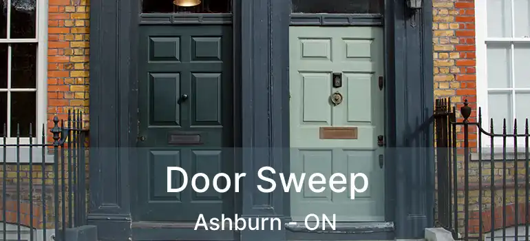  Door Sweep Ashburn - ON