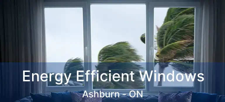  Energy Efficient Windows Ashburn - ON
