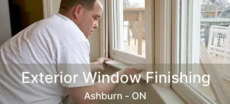  Exterior Window Finishing Ashburn - ON