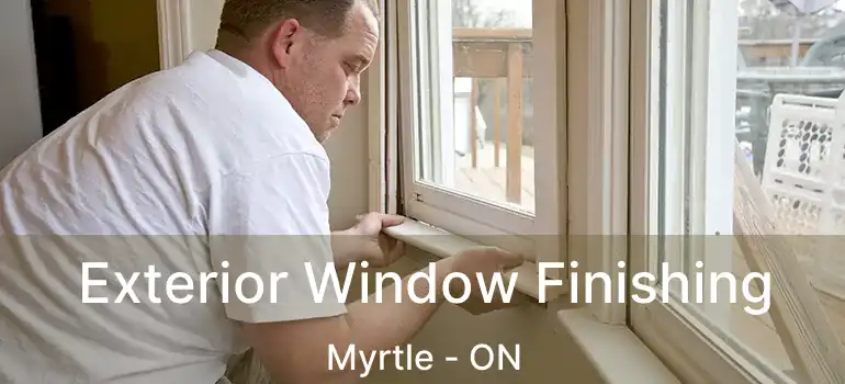 Exterior Window Finishing Myrtle - ON