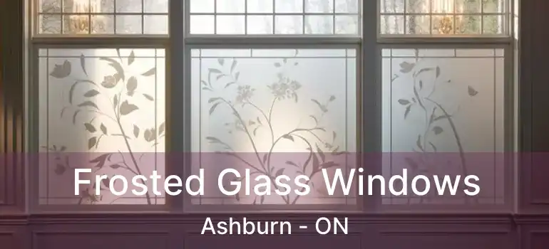  Frosted Glass Windows Ashburn - ON