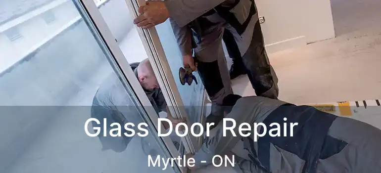  Glass Door Repair Myrtle - ON