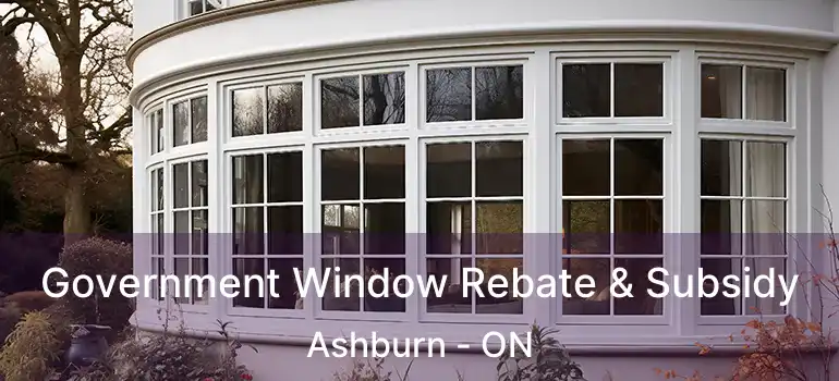  Government Window Rebate & Subsidy Ashburn - ON
