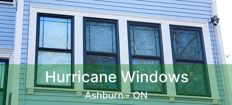  Hurricane Windows Ashburn - ON