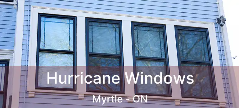  Hurricane Windows Myrtle - ON
