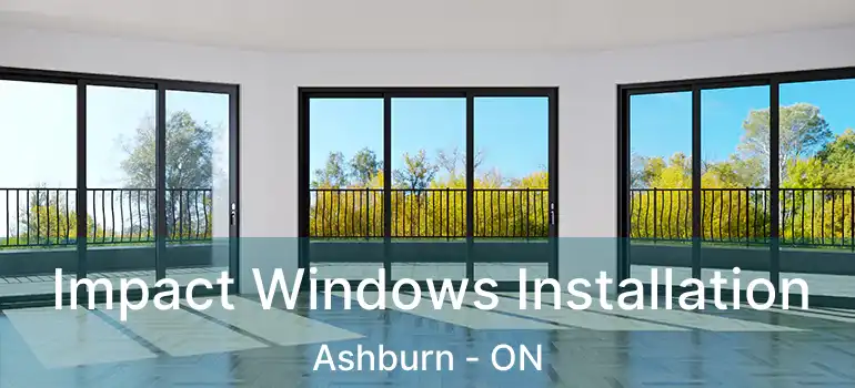  Impact Windows Installation Ashburn - ON