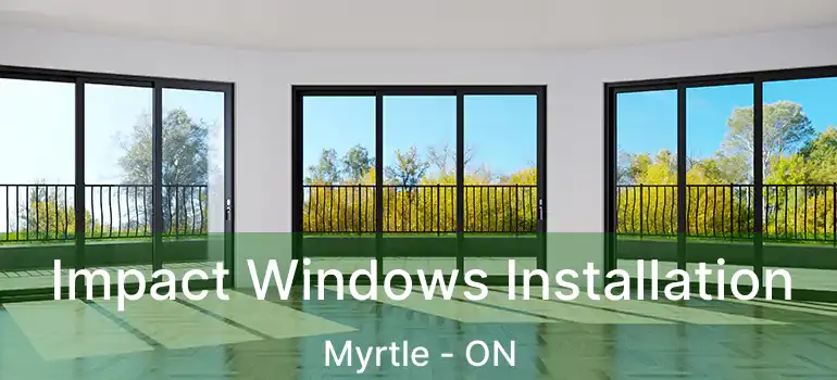  Impact Windows Installation Myrtle - ON