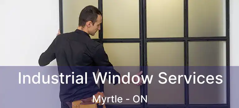  Industrial Window Services Myrtle - ON