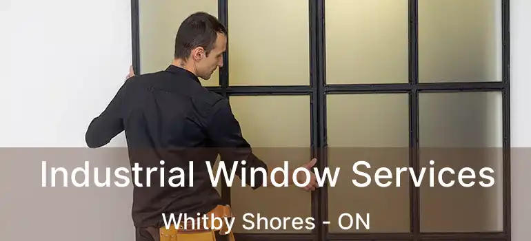  Industrial Window Services Whitby Shores - ON