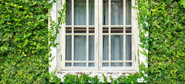 Garden Window Repair Near Me in Whitby, ON