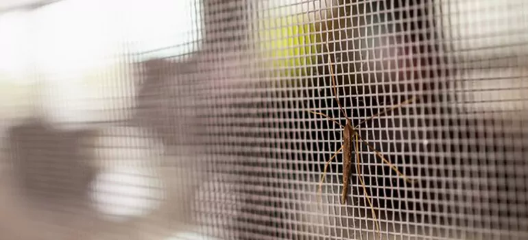 Repair Mosquito Mesh For Windows in Whitby, Ontario