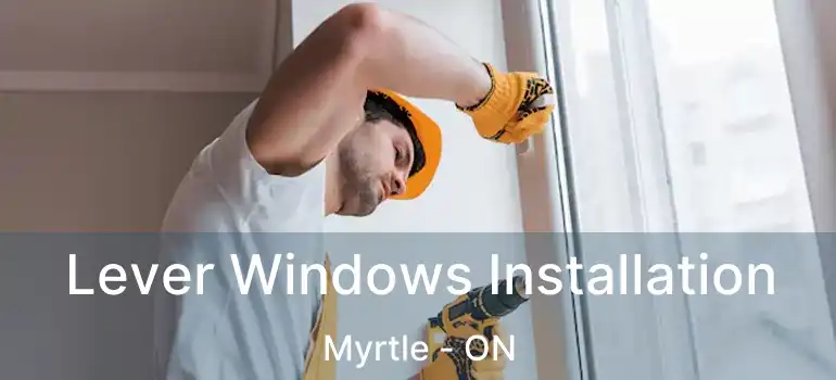  Lever Windows Installation Myrtle - ON