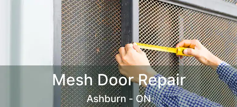  Mesh Door Repair Ashburn - ON